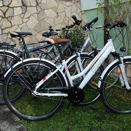 Zoeldike Vendeghaz Otel Kaposvár Dış mekan fotoğraf